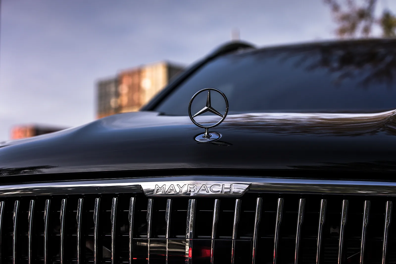 Mercedes-Maybach, close-up of the radiator grille and star