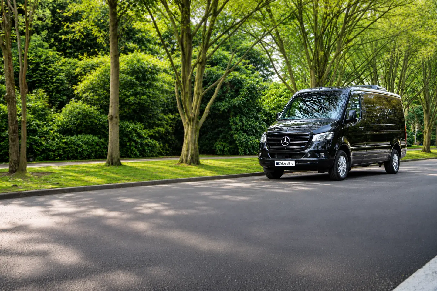Mercedes-Benz VIP Sprinter for delegations on a tree-lined avenue