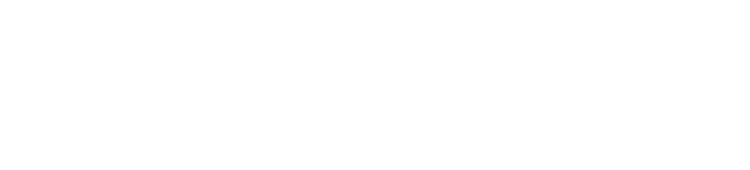 Schwarz Gruppe