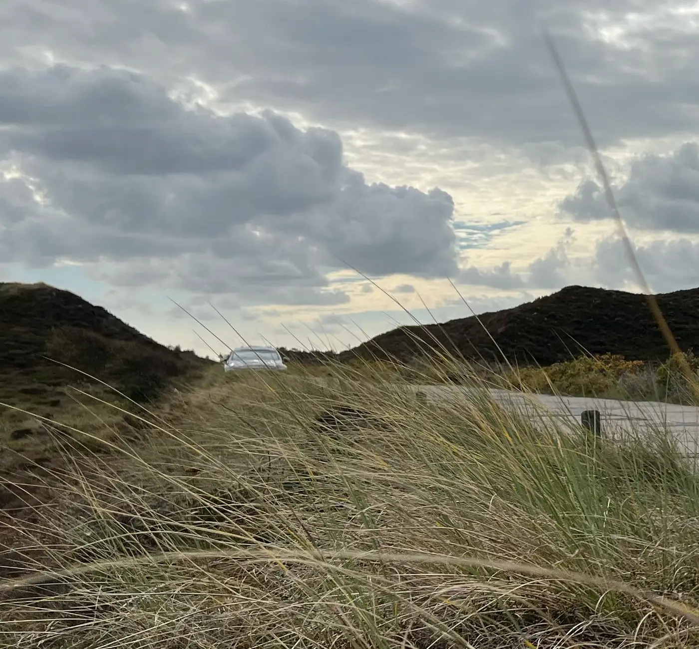 A van on a road through the dunes on Sylt